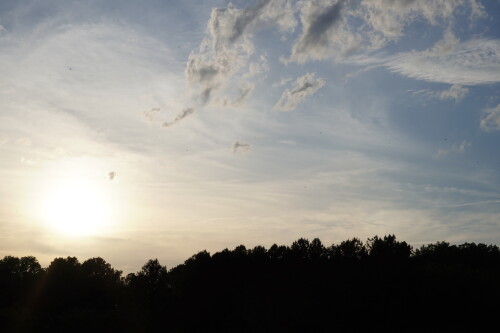 DSC03334.jpeg