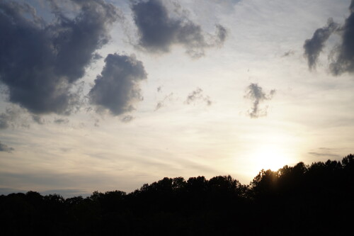 DSC03361.jpeg
