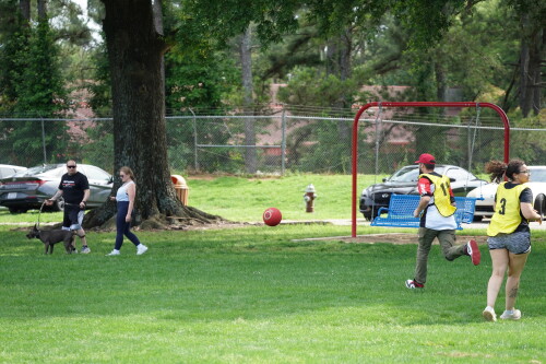 DSC04386.jpeg