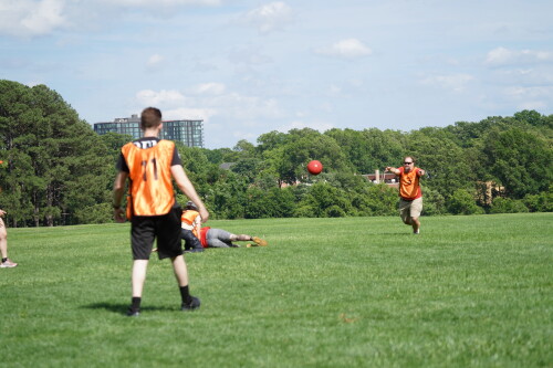 DSC04521.jpeg