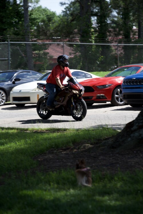 DSC_4598.jpeg