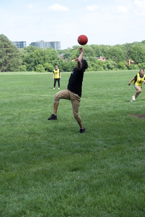DSC_4890.jpeg