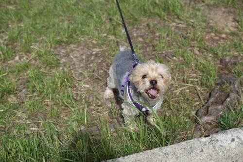 DSC_4974.jpeg