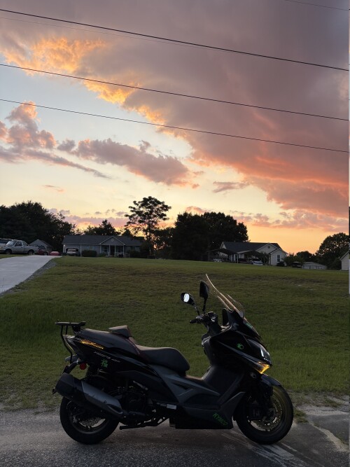 IMG_1800.jpeg